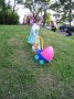 IMG_3644