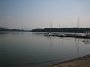 IMG_4387