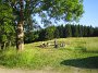 IMG_4485