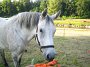IMG_4612