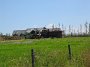 IMG_4967