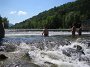 IMG_4981