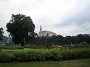 IMG_5232