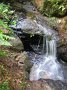 IMG_5503