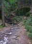 IMG_5505