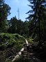 IMG_5565