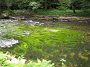 IMG_5705