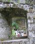 IMG_5772