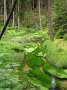 IMG_5776