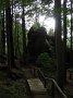 IMG_5803