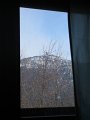 IMG_2536