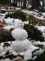 IMG_2581