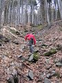 IMG_2589