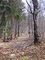 IMG_2598