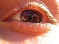 IMG_2604