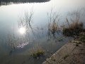 IMG_2618