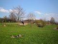 IMG_2621