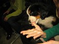 IMG_2654