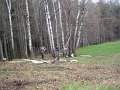 IMG_2742