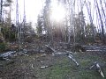 IMG_2751