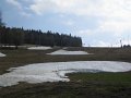 IMG_2829