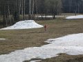 IMG_2832