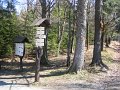IMG_2862