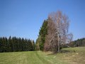 IMG_2867