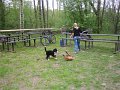 IMG_2945