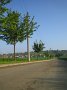 IMG_3287