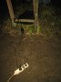 IMG_3375