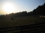 IMG_7500