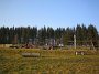 IMG_7506