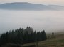IMG_7514