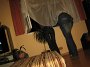 IMG_7582