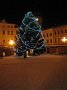 IMG_7610