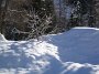 IMG_8254