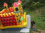 IMG_6916