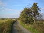 IMG_7032