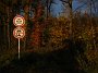 IMG_7319