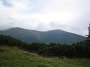 IMG_6309