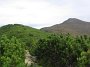 IMG_6316