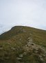 IMG_6321