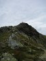 IMG_6341