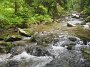 IMG_6377