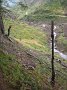 IMG_6386