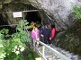 IMG_6454