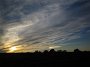 IMG_6703