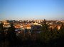 IMG_8886