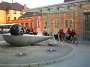 IMG_0649